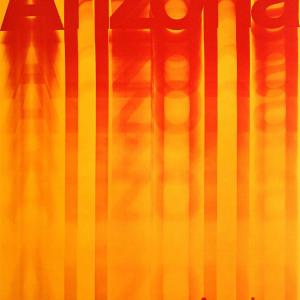 American Airlines - Arizona Clearance Online Fake