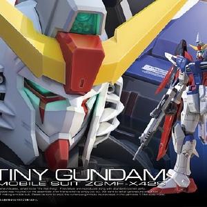 1/144 RG ZGMF-X42S DESTINY GUNDAM Clearance Factory Outlet