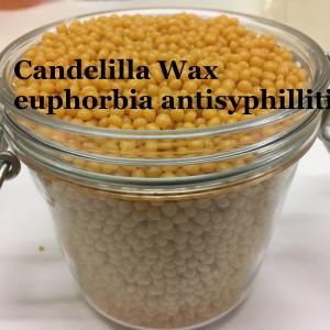 Candelilla Wax Buy Cheap Deals