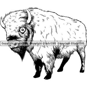 Buffalo Bison Animal ClipArt SVG Cheap Sale New Arrival