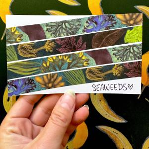 Seaweeds Washi Tape! (No Foil) - Eco Friendly - Made from Wood Pulp! Free Shipping The Cheapest