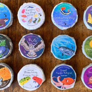 Rainbow Sea Slugs Washi Tape! (No Foil) - Nudibranchs Factory Outlet For Sale