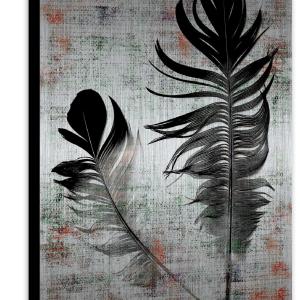 Black Feathers Online For Sale