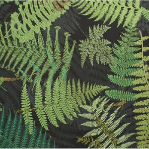 Green/Black Fernarium 100% Cotton Fabric Shop Sale Online