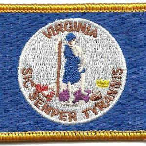 Virginia - Tactical State Patch Fashionable Cheap Online