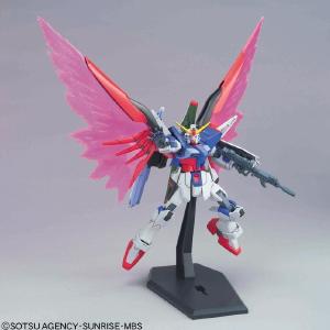 [HG SEED 1/144] ZGMF-X42S Destiny Gundam Outlet Clearance