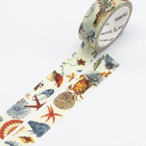 Sea Shore Washi Tape Discount 2025 New