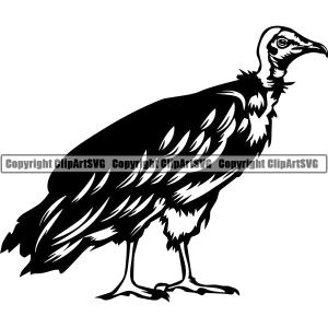 Vulture Bird Animal ClipArt SVG Cheapest Pice For Sale
