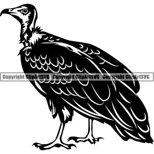 Vulture Bird Animal ClipArt SVG Low Cost Cheap Pice