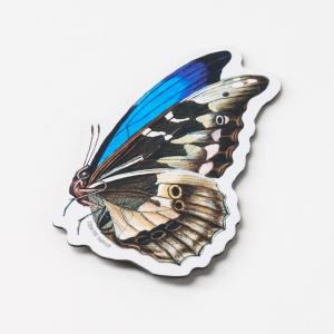 Butterfly Magnet Outlet 2025