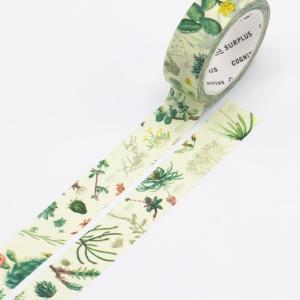 Cactus Washi Tape Authentic Cheap Pice