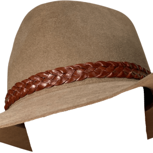 Taupe Fur Felt Hat with Feather Detail by Akubra Really Cheap Shoes Online