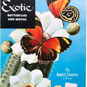 60s How To Paint Exotic Butterfly Booklet with Vibrant Frameable Art Prints Discount Cheapest