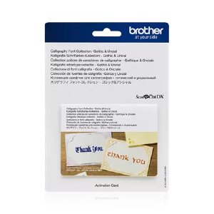 CADXCLGFP01 Calligraphy Font Collection Good Selling Sale Online