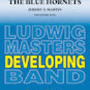 The Blue Hornets Cheap Low Cost