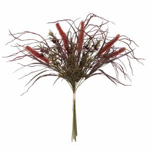 Euphorbia Stems, Bushes, and Sprays Buy Cheap Order