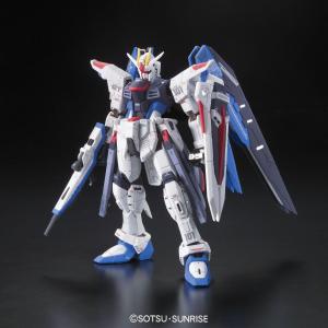RG 1/144 Freedom Gundam Huge Surprise Cheap Pice