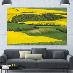 40" H x 60" W x 1.5" D Rapeseed Fields And Green Wheat - Wrapped Canvas Photograph Manchester For Sale
