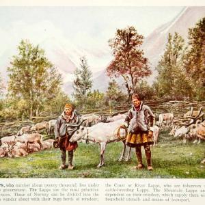 1938 Color Print Lapps Norway Tribe Reindeer Animals Norwegian Historical XGGD4 Get Authentic
