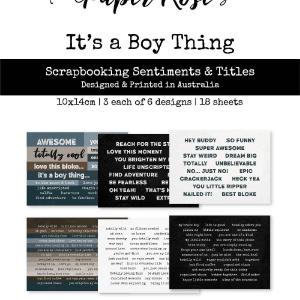 Paper Rose Studio It's a Boy Thing Scrapbooking Sentiments & Titles 19808 2025 New