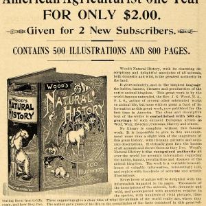 1893 Ad Wood's Natural History Book Illustrations American Agriculturist AAG1 Cheap Big Sale