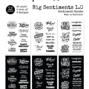 Paper Rose Studio Big Sentiments 1.0 A5 12pc Sentiment Sheets 22336 Clearance Supply