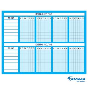 Chart:  Cyan Routine Chart Dry Erase        -   Removable     Adhesive Decal Ebay