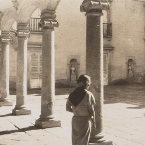 'El Pardo' (Madrid, Spain) Greetings Card Cheap Countdown Package