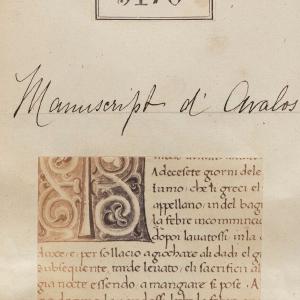 'Detail from Manuscript d'Avalos' Greetings Card Cheap Sale Pictures