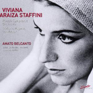 Amato Belcanto Cheap Big Sale