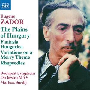 Zdor: The Plains of Hungary Cheapest For Sale