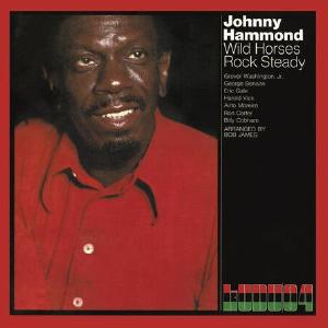 WILD HORSES: ROCK STEADY Latest Collections Sale Online