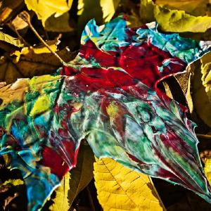 Chon - Grow (Translucent Yellow/Baby Pink, LP Vinyl) Discount Cheapest