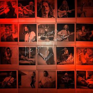 Chris Cornell - No One Sings Like You Anymore Cheap Usa Stockist