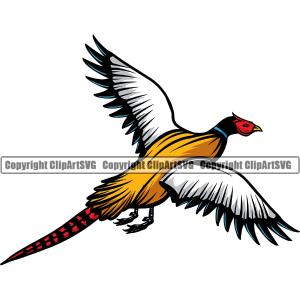 Pheasant Pheasants Hunting Bird Wildlife Flying Male Hunter Wild Feathers Hunt Wings Food Game Art Logo Color Symbol Clipart SVG Sale Genuine