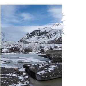 9 [CD] Free Shipping Official