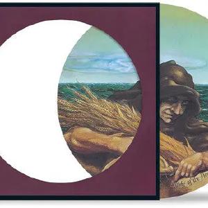 Wake Of The Flood [Picture Disc Vinyl] Outlet Largest Supplier