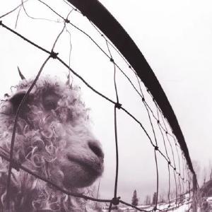 Vs. (30th Anniversary) [Vinyl] Buy Cheap New