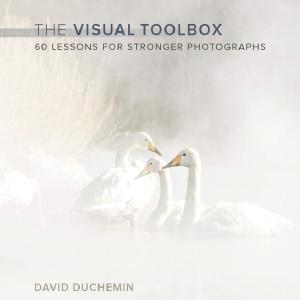 Visual Toolbox, The Clearance Very Cheap