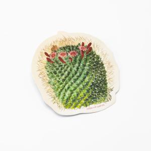 Mammillaria Cactus Sticker Clearance Geniue Stockist