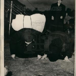 1954 Press Photo Greek Hostages Return From Behind Iron Curtain - KSB55421 Recommend Online