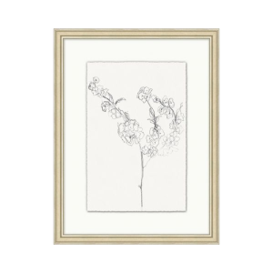 "Floral Sketch" Framed Art Print Where To Buy Cheap Real