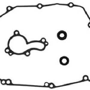 Psychic 34.95 Water Pump Repair Kit #MX-10209 Sale Wide Range Of