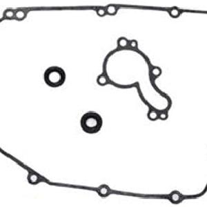 Psychic 33.95 Water Pump Repair Kit #MX-10226 Buy Cheap Low Shipping Fee