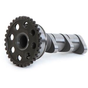 Hotcams 4302-3IN Camshafts #4302-3IN Huge Surprise For Sale