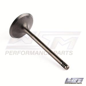 WSM 010-005 Intake Valve #010-005 Outlet Buy