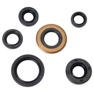 Tusk Engine Oil Seal Kit #133-914-0004 Genuine Cheap Online