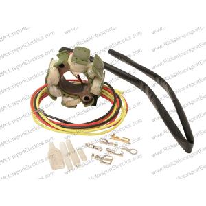 RICK'S ELECTRIC NEW HOT SHOT SUZUKI STATOR #21-812H For Nice