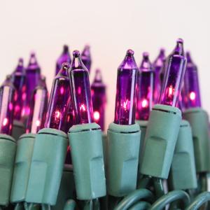 100-bulb Purple Mini Lights, 6" Spacing, Green Wire Outlet Low Pice