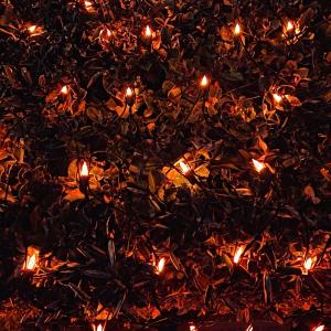 150-bulb Opaque Orange Net Lights, Black Wire 2025 Unisex